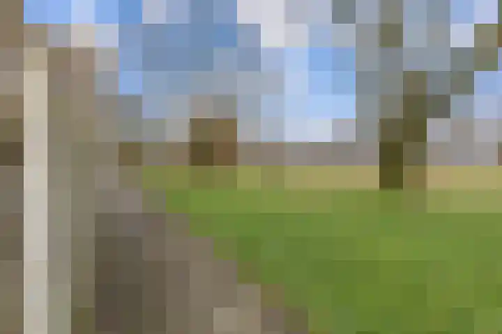 Adonislaan 37 Helmond thumbnail 6