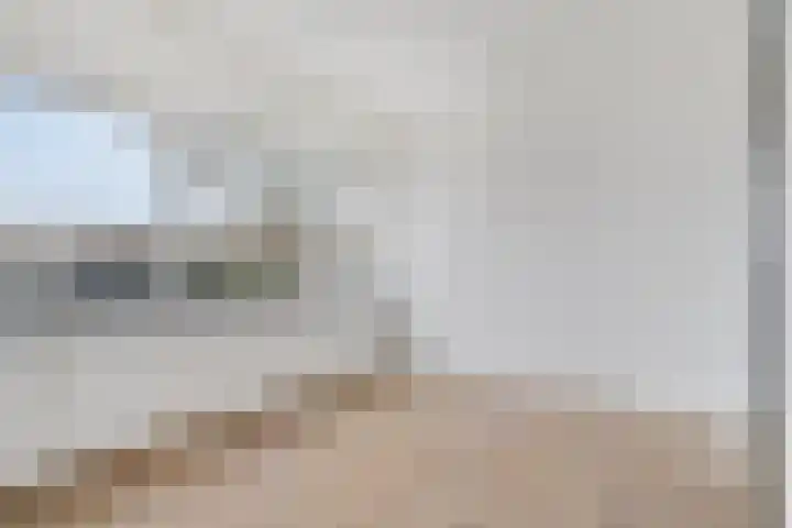 Adonislaan 4 Helmond thumbnail 18