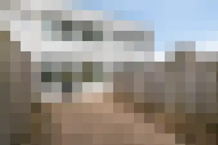 Adonislaan 4 Helmond thumbnail 24