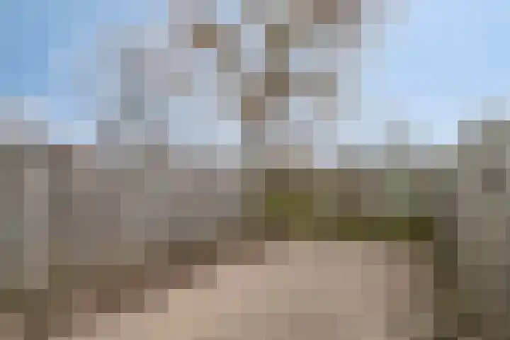 Adonislaan 4 Helmond thumbnail 28