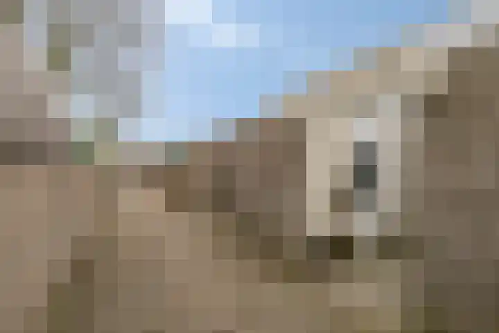 Adonislaan 4 Helmond thumbnail 30