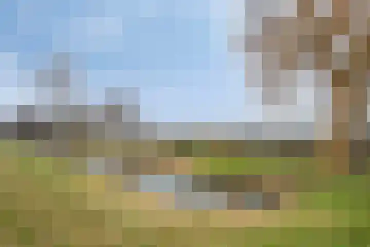 Adonislaan 4 Helmond thumbnail 35
