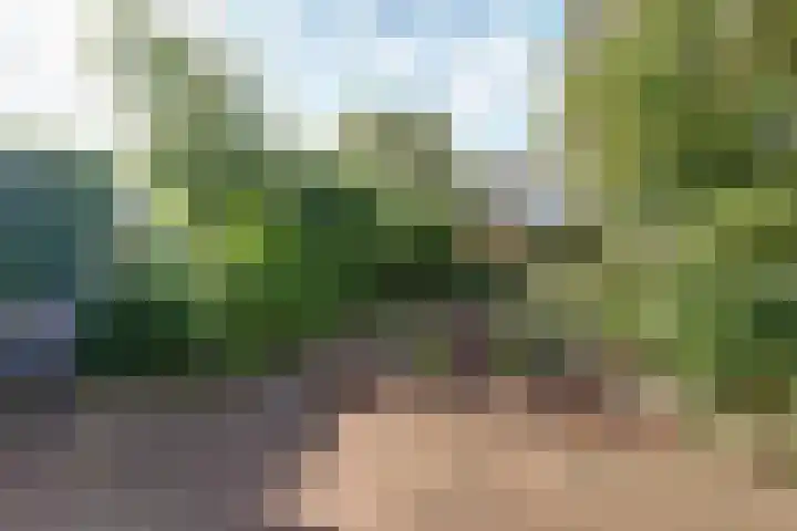 Adorppad 4 Arnhem thumbnail 17