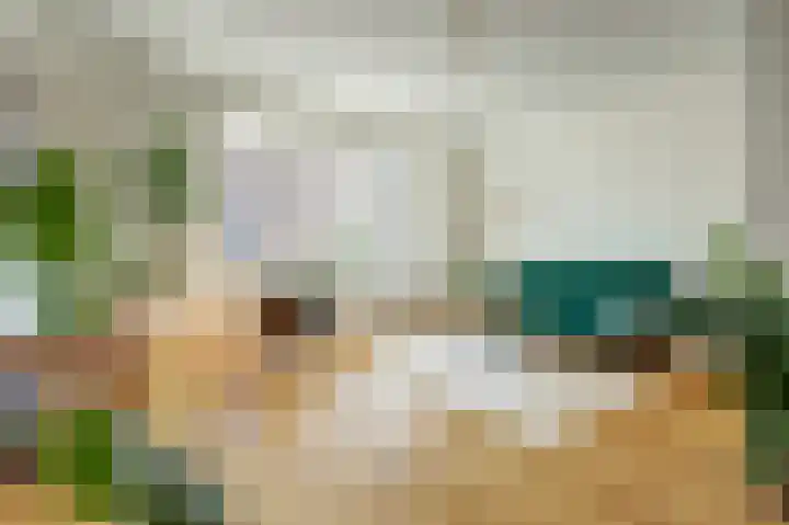 Adriaen van der Doeslaan 56 B in Rotterdam