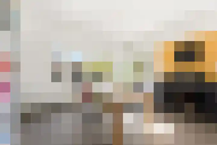 Adrianalaan 101 B Rotterdam thumbnail 17