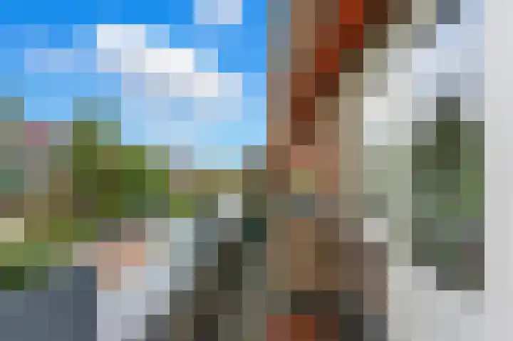 Adrianalaan 101 B Rotterdam thumbnail 22
