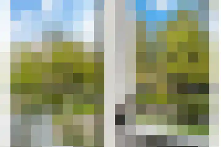 Adrianalaan 101 B Rotterdam thumbnail 39