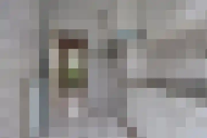 Adrianalaan 220 Rotterdam thumbnail 15