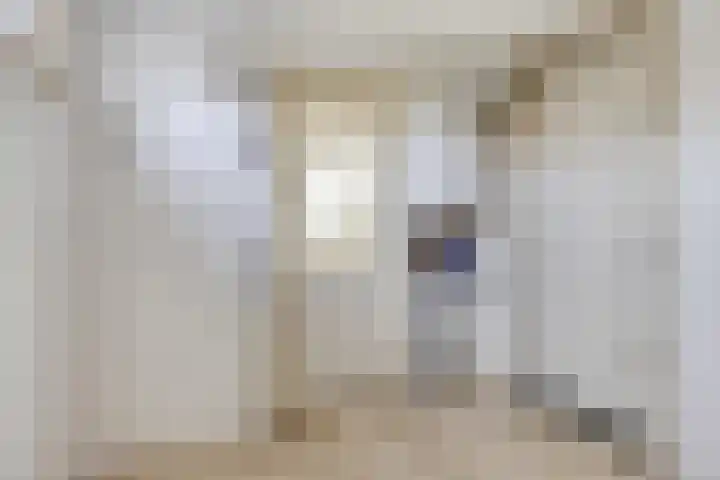 Adrianalaan 226 Rotterdam thumbnail 22