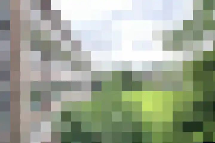 Adrianalaan 53 Rotterdam thumbnail 10