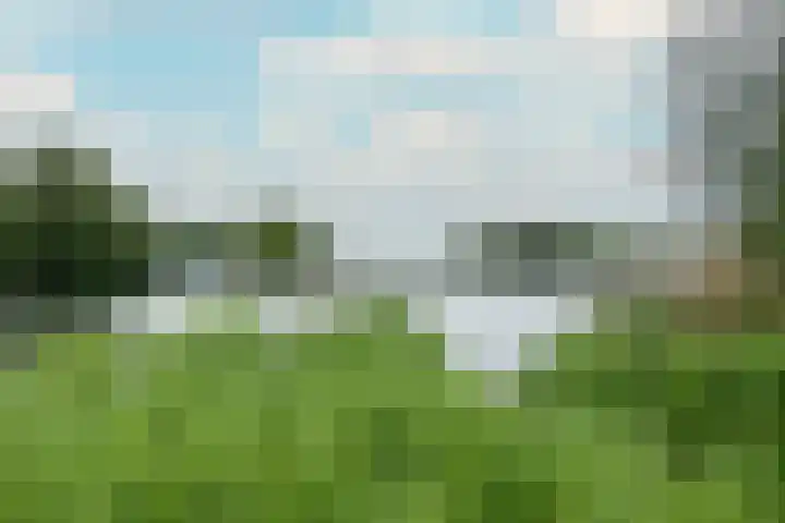 Adrianalaan 53 Rotterdam thumbnail 34