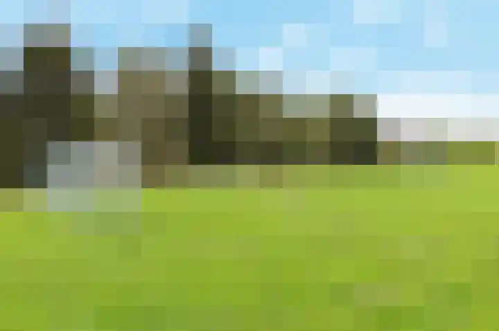 Adrianapolder 7 Barendrecht thumbnail 38