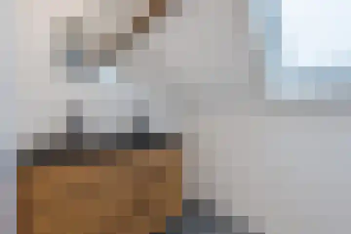 Adrianastraat 74 Katwijk thumbnail 33