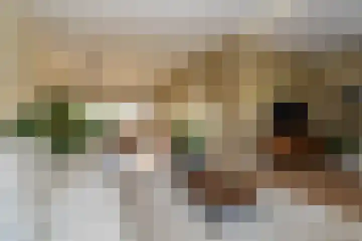 AE Kade 31 Veendam thumbnail 10