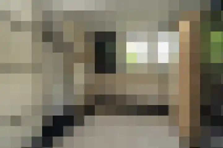 AE Kade 31 Veendam thumbnail 42