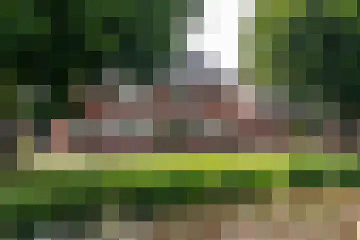 AE Kade 31 Veendam thumbnail 57