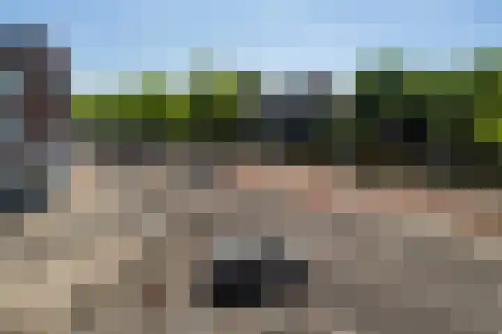 Aelbrechtskade 136 B Rotterdam thumbnail 10