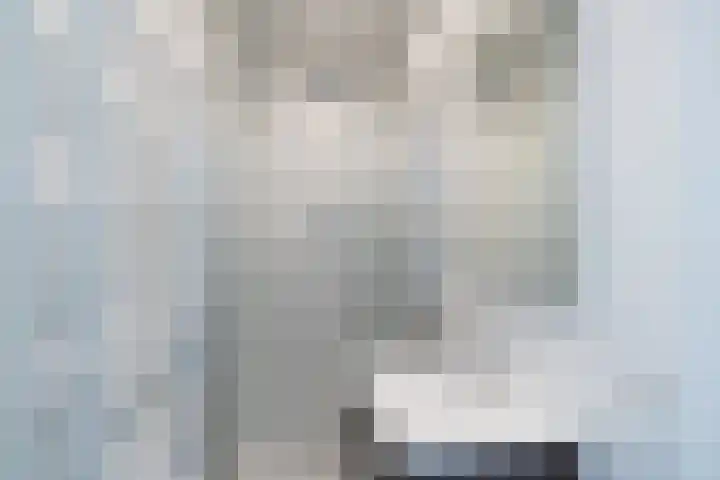 Aelbrechtskade 136 B Rotterdam thumbnail 7