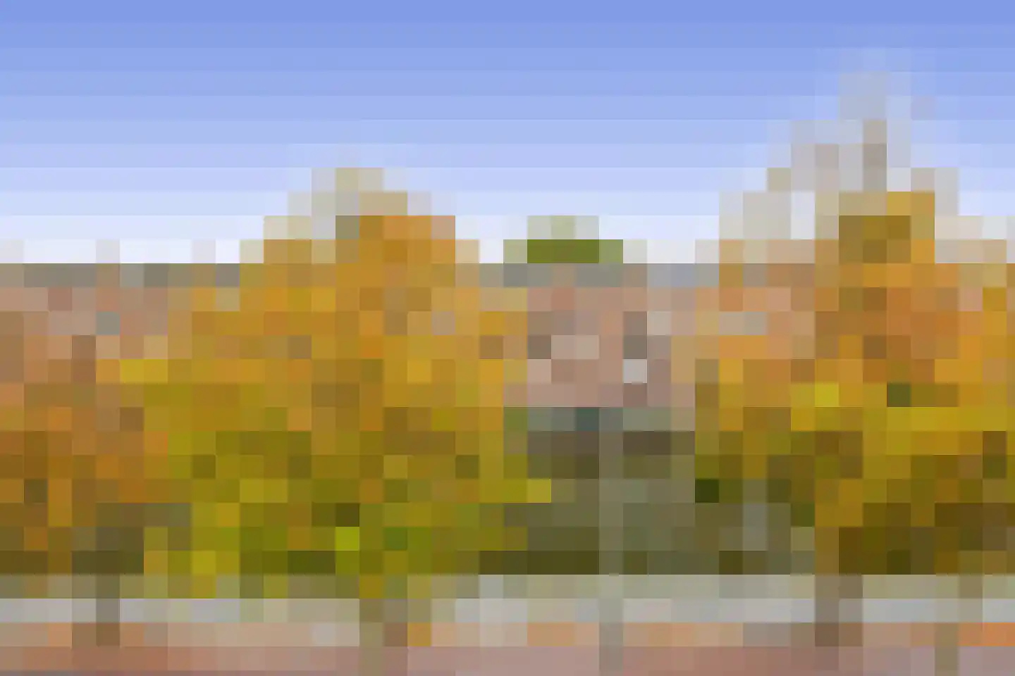 Aelbrechtskade 151 A 02 Rotterdam thumbnail 27