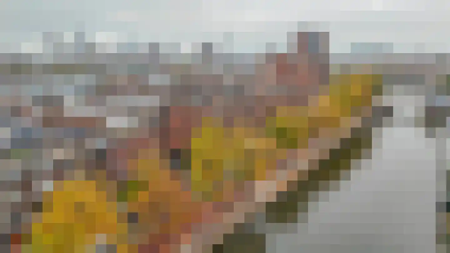 Aelbrechtskade 151 A 02 Rotterdam thumbnail 34