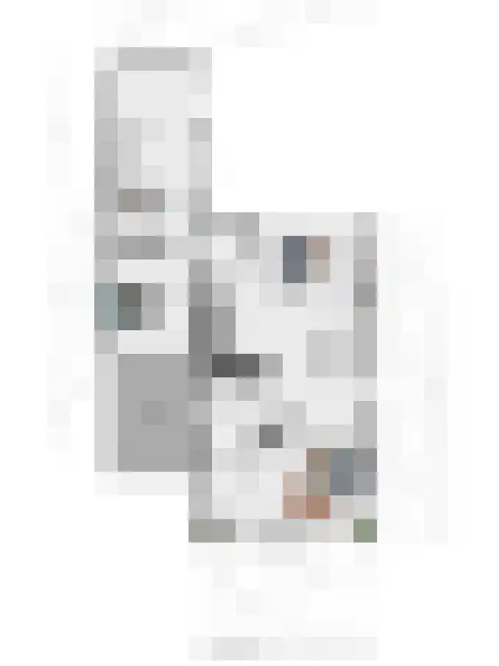 Team foto van Aelmans Woningmakelaars Baexem