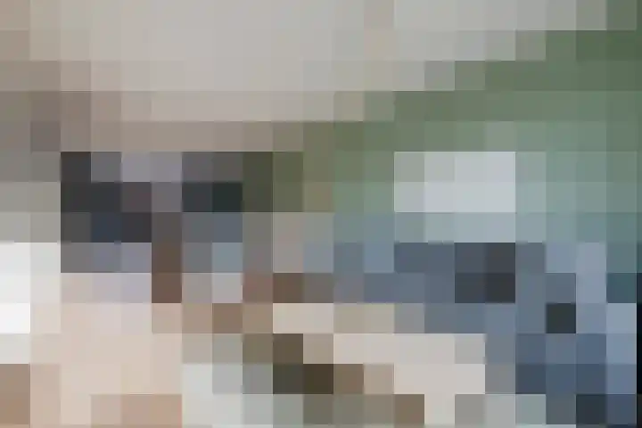 Aeneaslaan 3 Eindhoven thumbnail 10