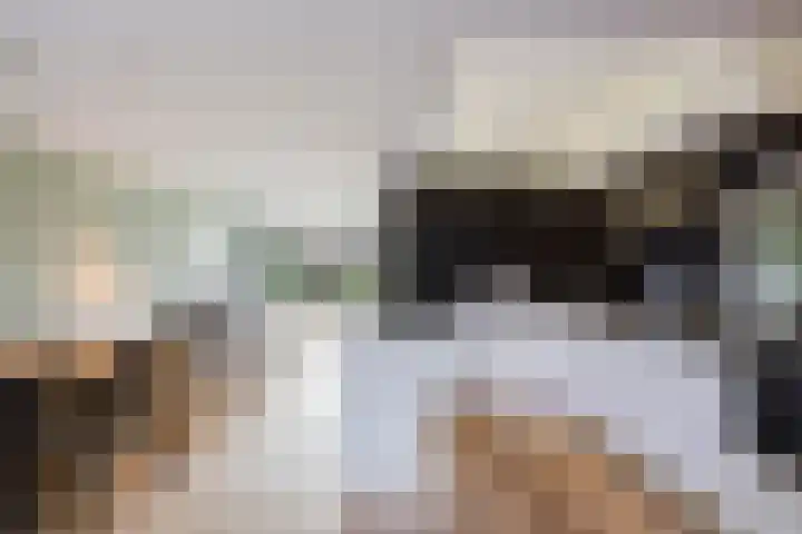 Aeneaslaan 3 Eindhoven thumbnail 11