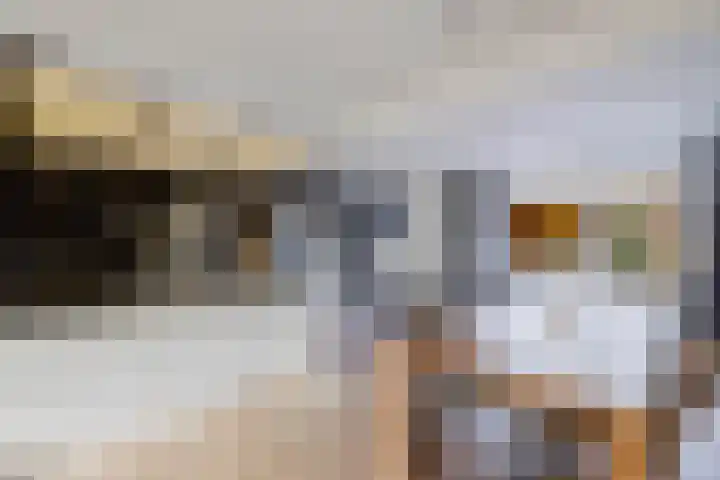 Aeneaslaan 3 Eindhoven thumbnail 12