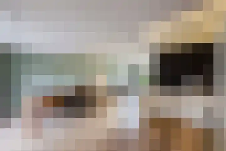 Aeneaslaan 3 Eindhoven thumbnail 19