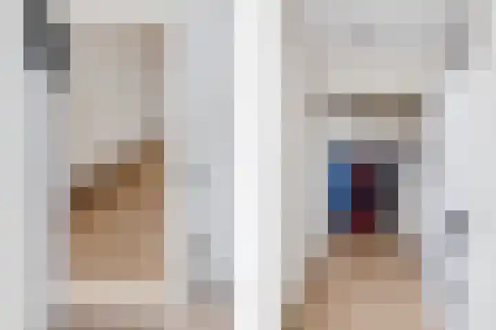 Aeneaslaan 3 Eindhoven thumbnail 27