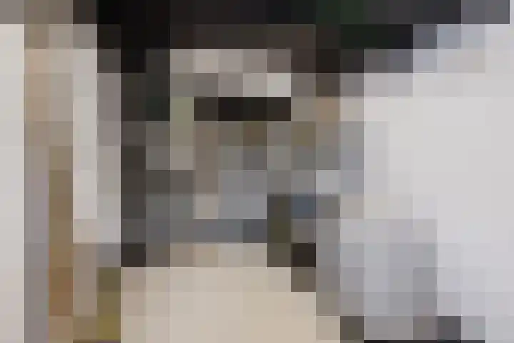 Aeneaslaan 3 Eindhoven thumbnail 36