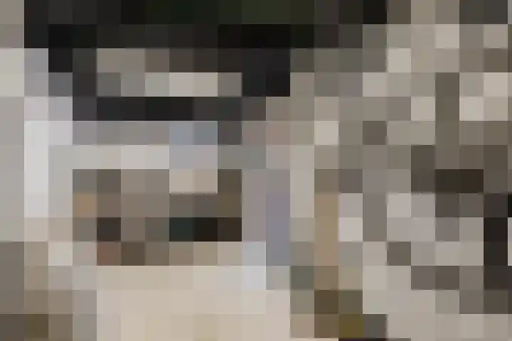 Aeneaslaan 3 Eindhoven thumbnail 37