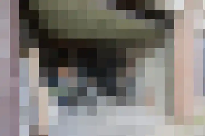 Aeneaslaan 3 Eindhoven thumbnail 42