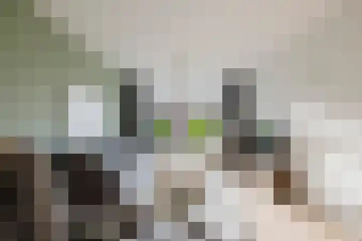 Aeneaslaan 3 Eindhoven thumbnail 7