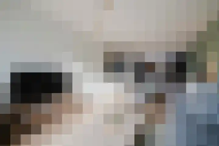 Aeneaslaan 3 Eindhoven thumbnail 9