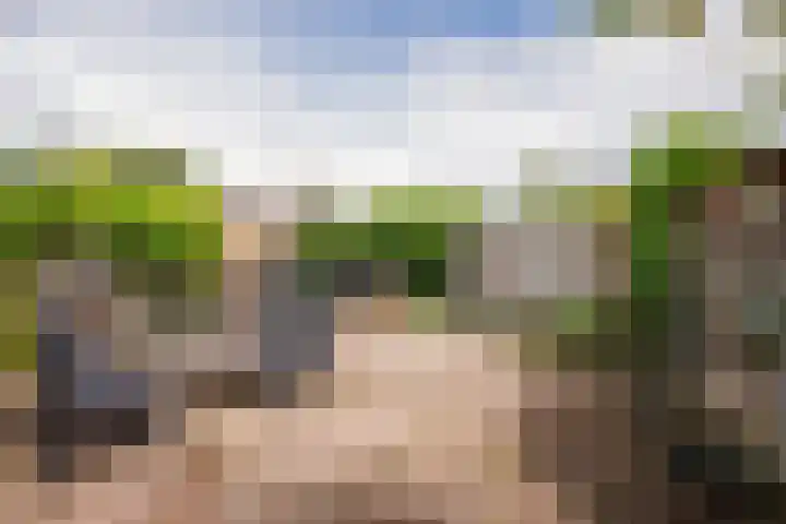 Aerdberg 27 Steyl thumbnail 27