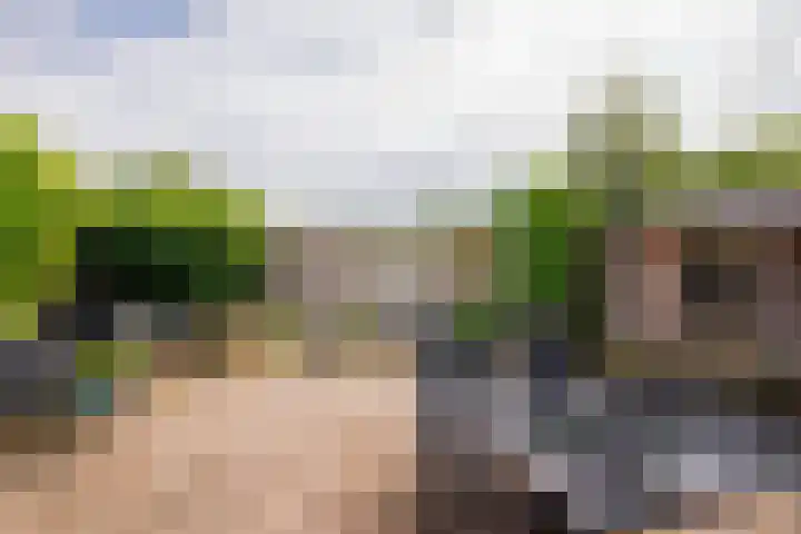 Aerdberg 27 Steyl thumbnail 28
