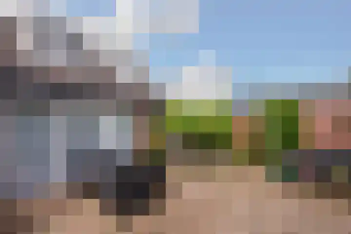 Aerdberg 27 Steyl thumbnail 30