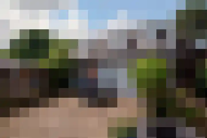 Aerdberg 27 Steyl thumbnail 31