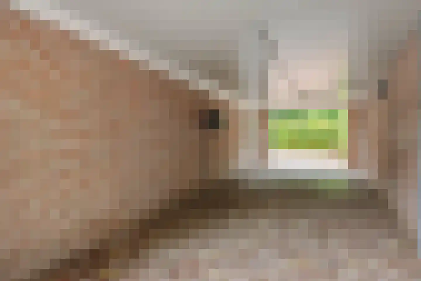 Aert Heymlaan 7 A Vught thumbnail 25