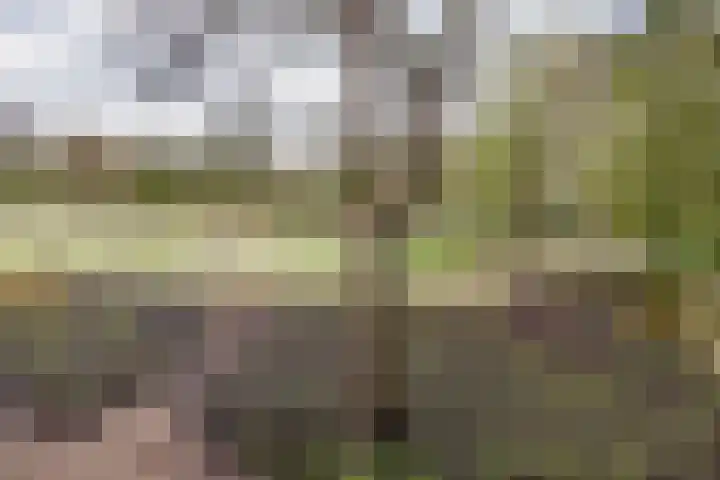 Aetsveldselaan 38 Weesp thumbnail 38