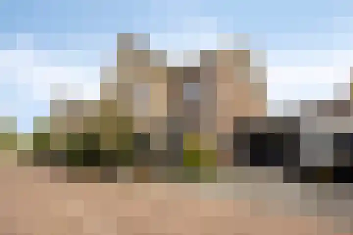 Afbramerij 4 Vaassen