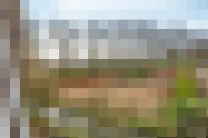 Affuithof 33 Gorinchem thumbnail 10