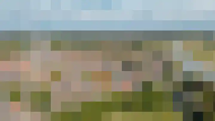 Affuithof 7 Gorinchem thumbnail 31
