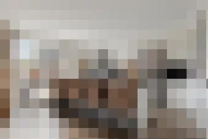 Afgeslechtedijk 17 Steenbergen thumbnail 11