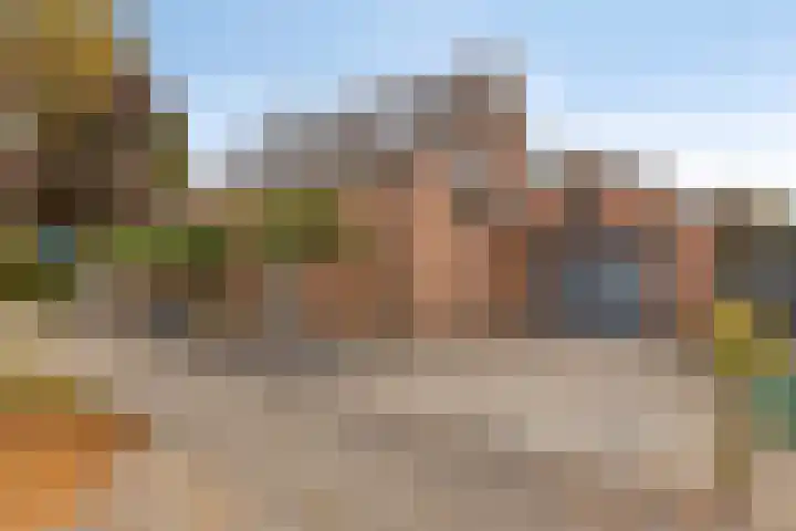 Afgeslechtedijk 17 Steenbergen thumbnail 5