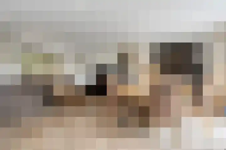 Afgeslechtedijk 17 Steenbergen thumbnail 8