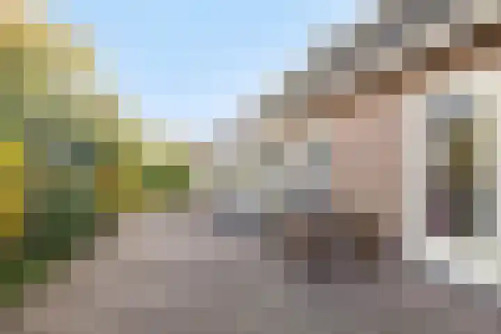 Afgeslechtedijk 29 Steenbergen thumbnail 36