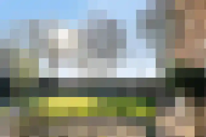 Afgeslechtedijk 29 Steenbergen thumbnail 39