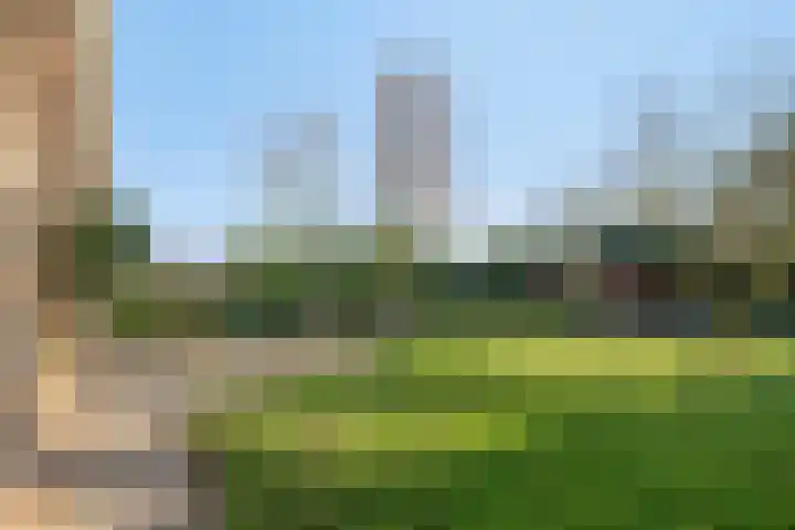 Afgeslechtedijk 29 Steenbergen thumbnail 40
